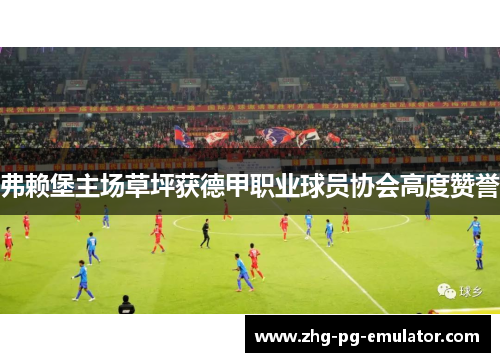 弗赖堡主场草坪获德甲职业球员协会高度赞誉